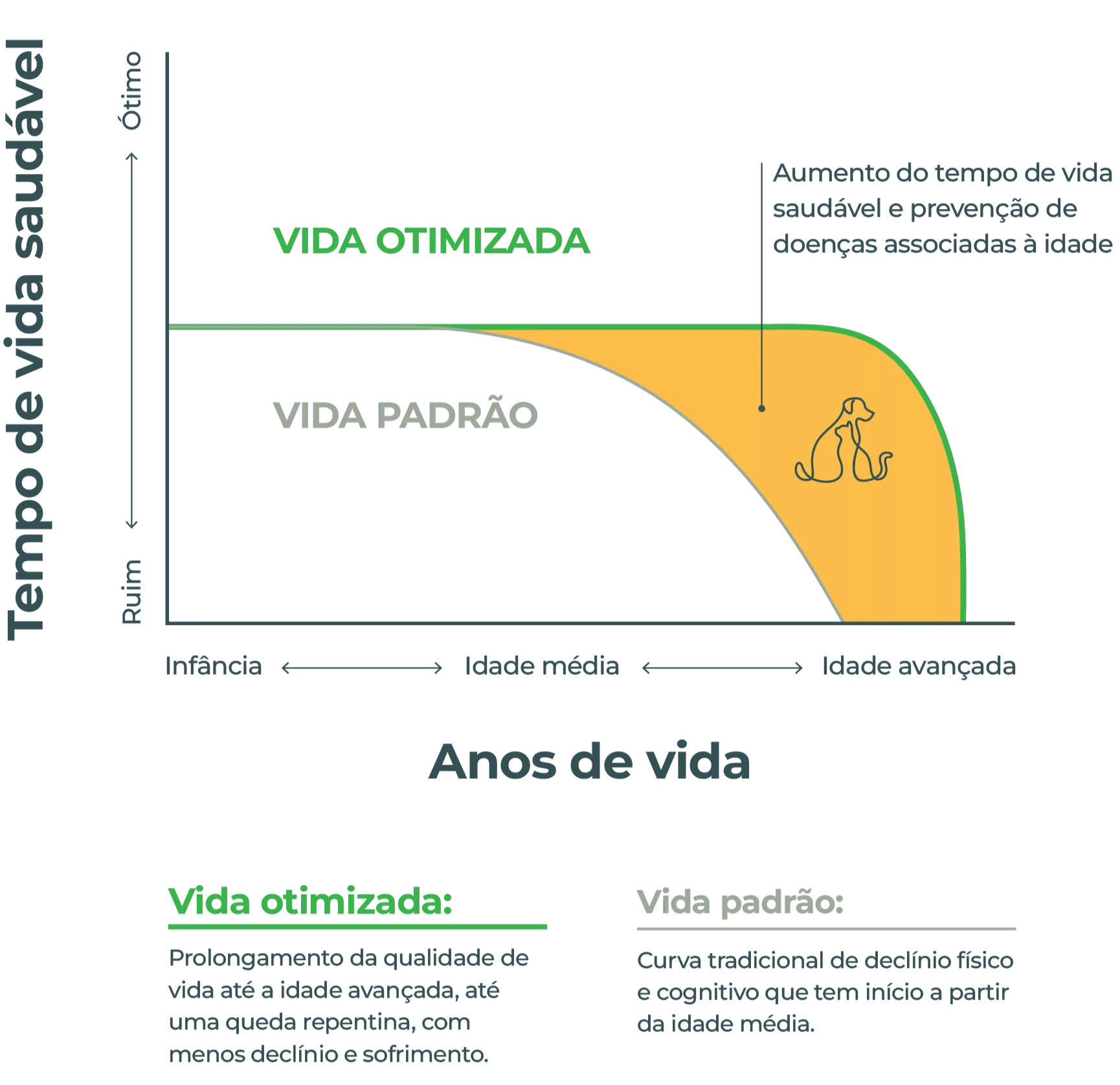 Gráfico comparando tempo de vida saudável entre vida otimizada e vida padrão