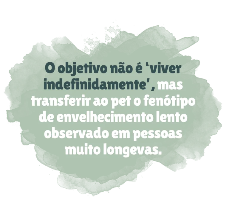 Frase sobre os marcadores do envelhecimento