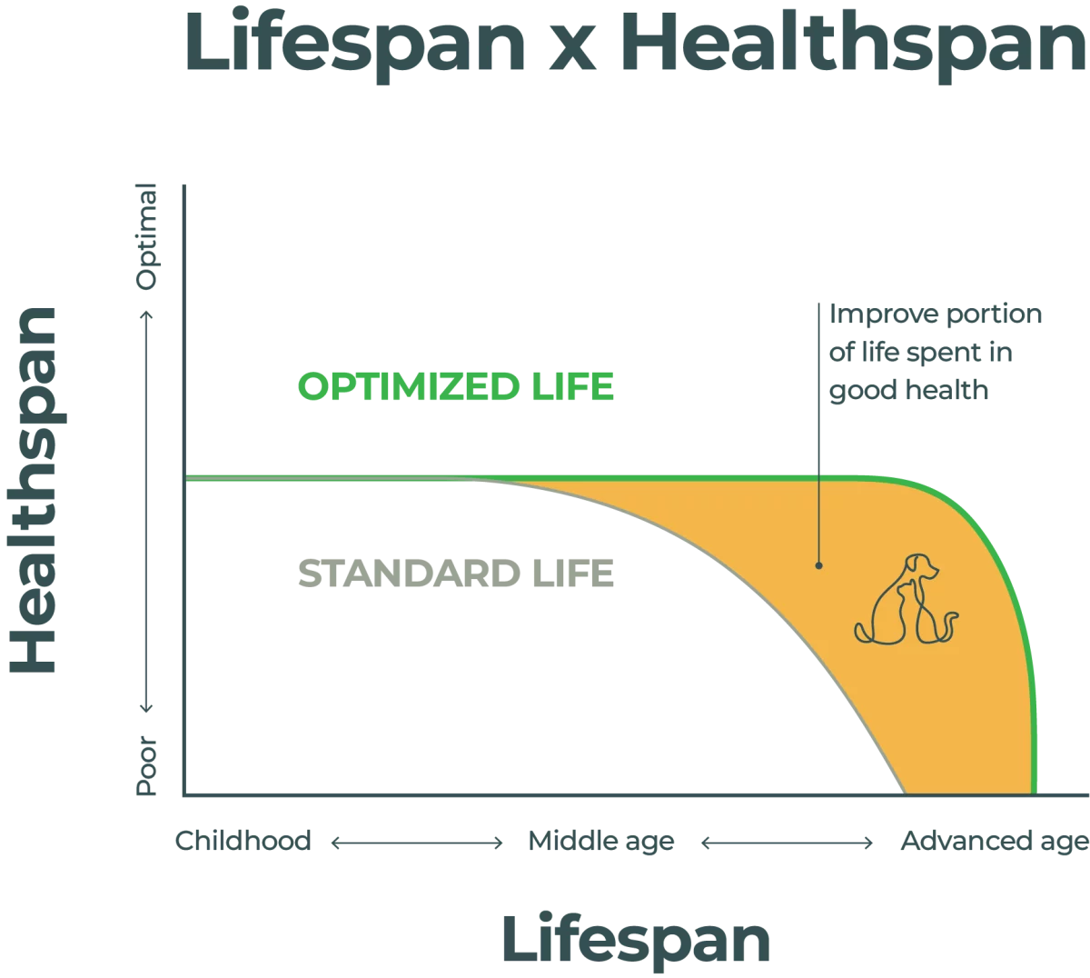 healthy life span graph longevidade canina