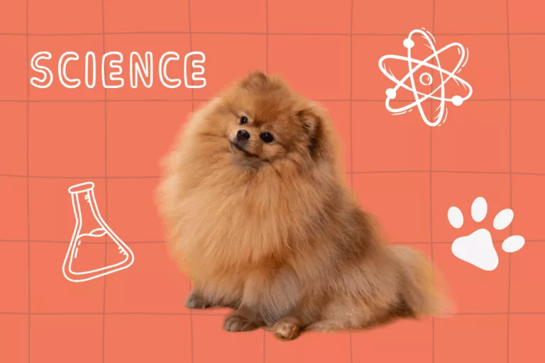 dia da ciencia