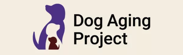 Longevidade Canina: Aprendizados do Dog Aging Project