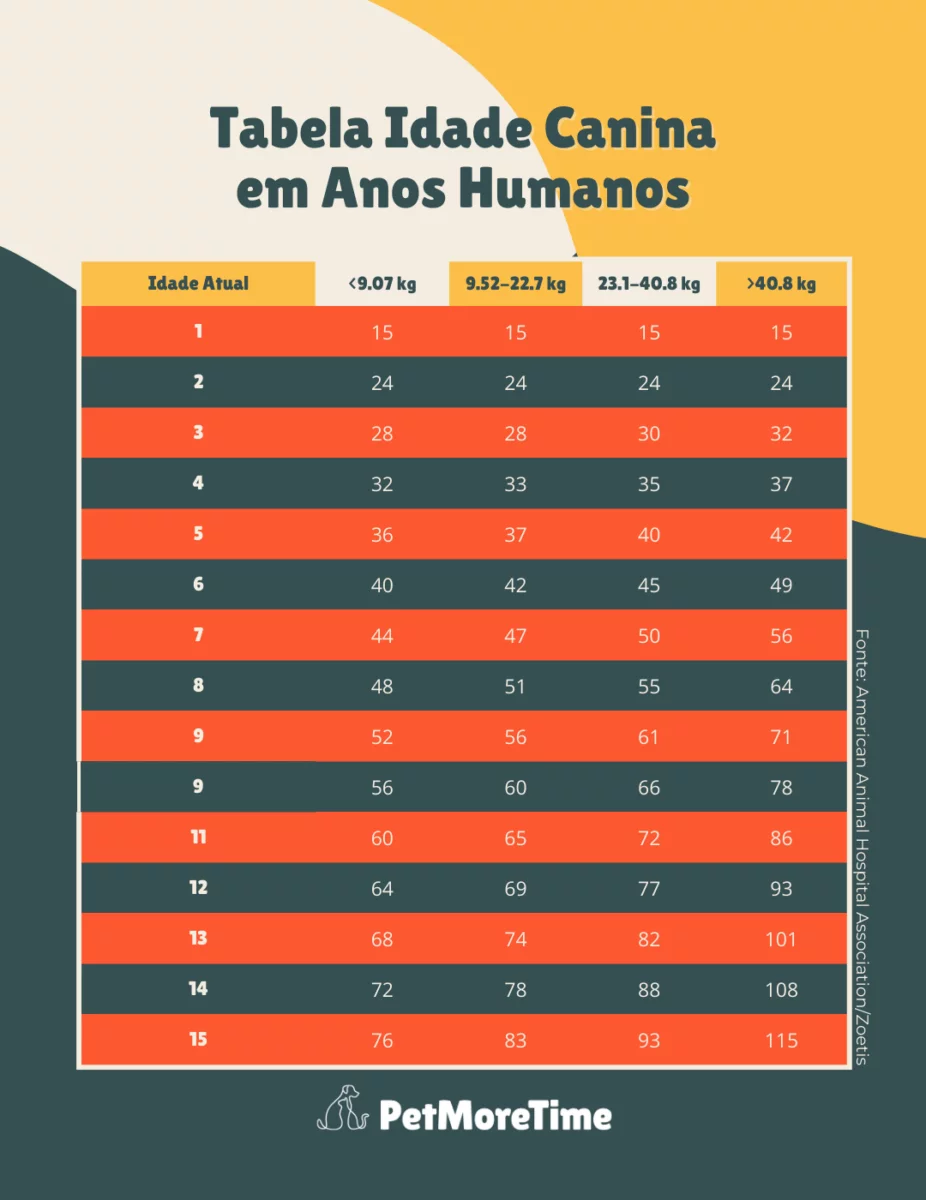 Tabela de Idade de Cachorro / Como calcular idade de cachorro

