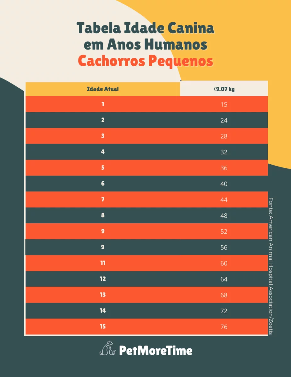 Tabela de Idade de Cachorro / Como calcular idade de cachorro