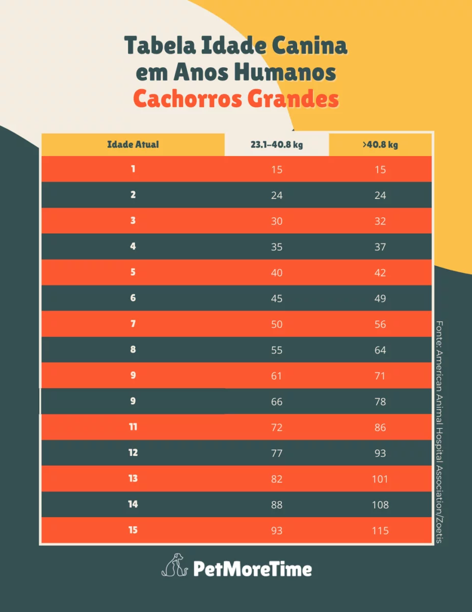 Tabela de Idade de Cachorro / Como calcular idade de cachorro