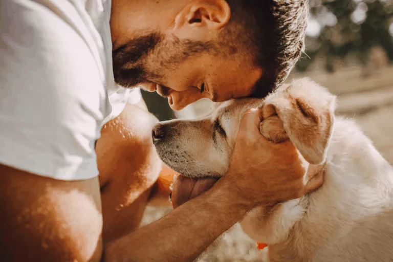 como calcular a idade de um cachorro