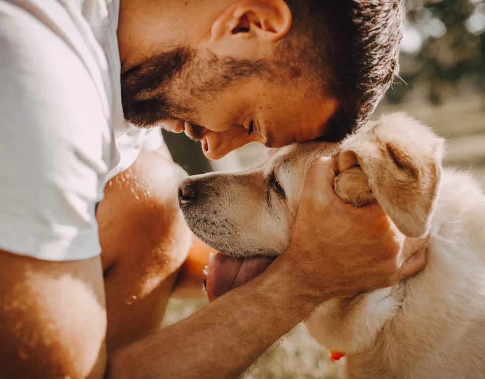 como calcular a idade de um cachorro