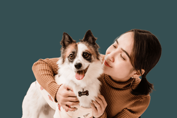 como calcular a idade de um cachorro