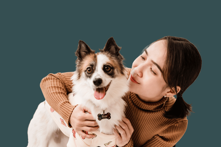 como calcular a idade de um cachorro