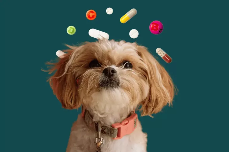 vitamina para cachorro