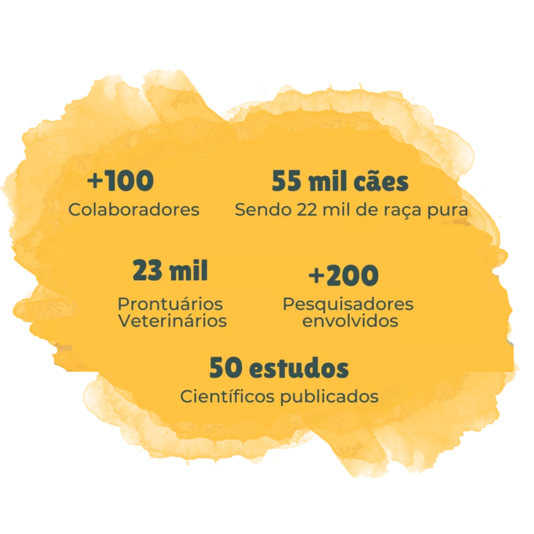 dados sobre petmoretime