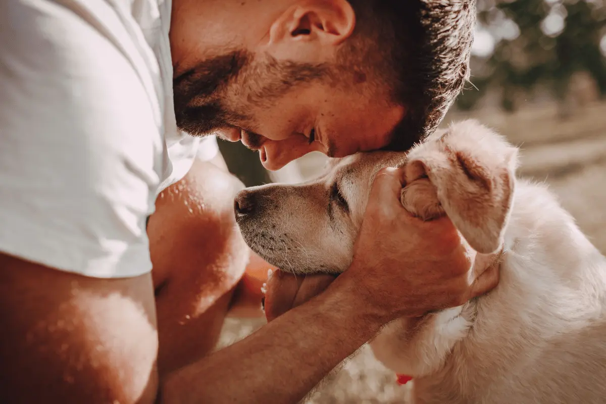 Petlove e PetMoreTime se unem para impulsionar longevidade canina no Brasil