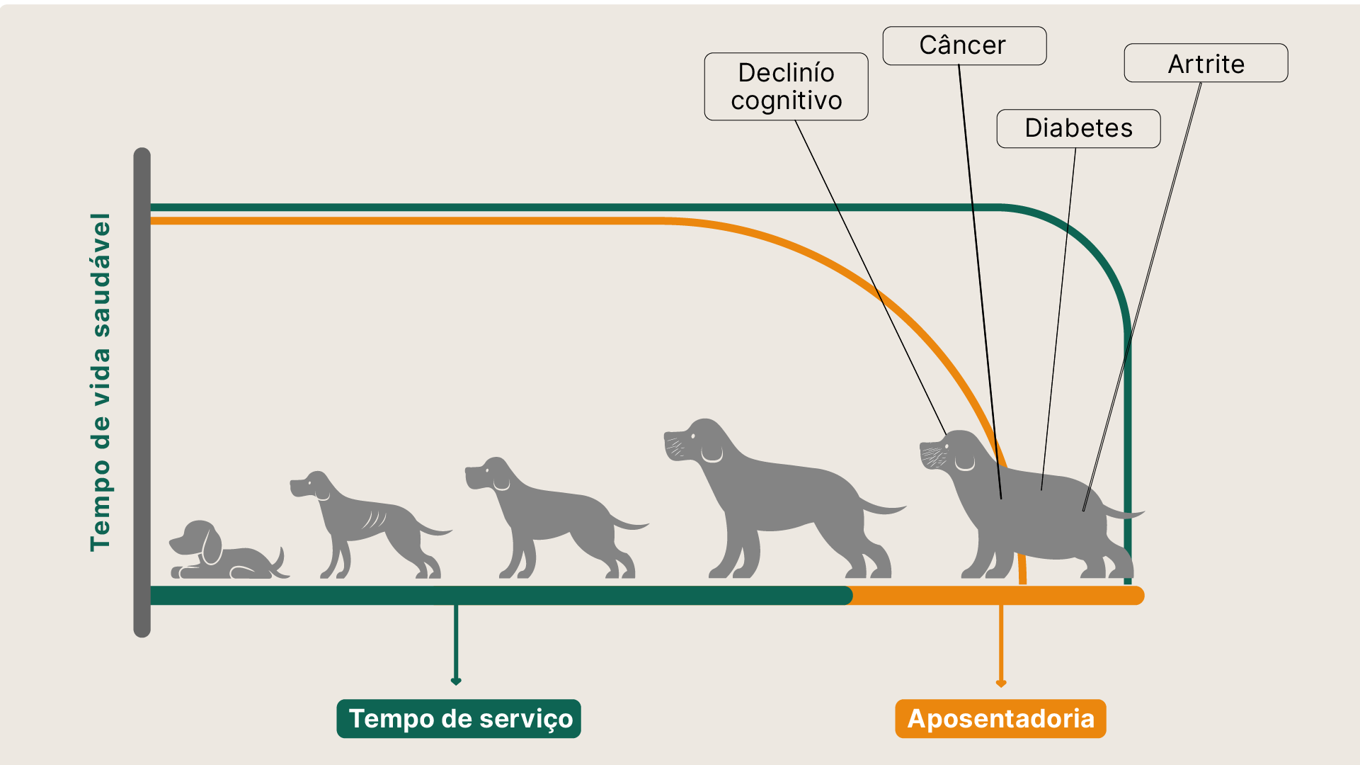 grafico de longevidade