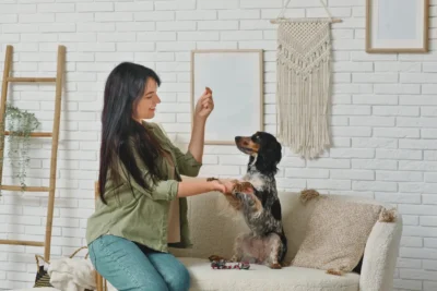 Cachorro tem menopausa?