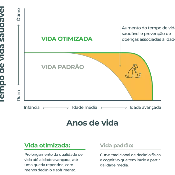 tempo de vida saudável gráfico